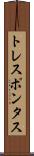 トレスポンタス Scroll