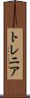 トレニア Scroll