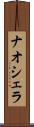 ナオシェラ Scroll