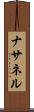Nathanel Scroll
