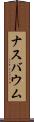 ナスバウム Scroll