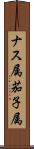 ナス属 Scroll