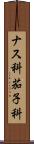 ナス科 Scroll