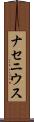 ナセニウス Scroll