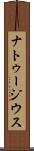 ナトゥージウス Scroll