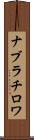 ナブラチロワ Scroll