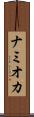 ナミオカ Scroll