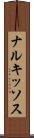 ナルキッソス Scroll