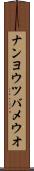 ナンヨウツバメウオ Scroll