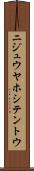 ニジュウヤホシテントウ Scroll