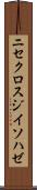 ニセクロスジイソハゼ Scroll