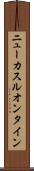 ニューカスルオンタイン Scroll