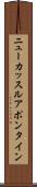 ニューカッスルアポンタイン Scroll