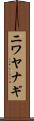 ニワヤナギ Scroll