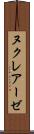 ヌクレアーゼ Scroll