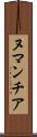 ヌマンチア Scroll
