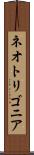 ネオトリゴニア Scroll