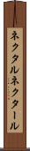 ネクタル Scroll