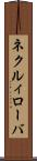 ネクルィローバ Scroll