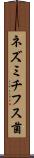 ネズミチフス菌 Scroll
