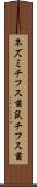 ネズミチフス菌 Scroll
