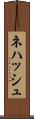 Nehash Scroll