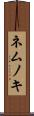 ネムノキ Scroll
