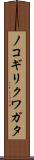 ノコギリクワガタ Scroll