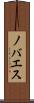 ノバエス Scroll