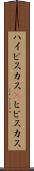 ハイビスカス(P) Scroll