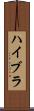 ハイブラ Scroll