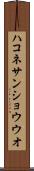 ハコネサンショウウオ Scroll