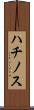 ハチノス Scroll