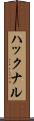 ハックナル Scroll