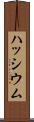 ハッシウム Scroll