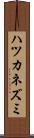ハツカネズミ Scroll