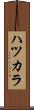 ハツカラ Scroll