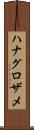 ハナグロザメ Scroll