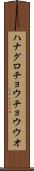 ハナグロチョウチョウウオ Scroll