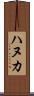 ハヌカ Scroll