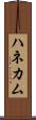 ハネカム Scroll