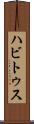 ハビトゥス Scroll
