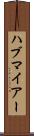ハブマイアー Scroll