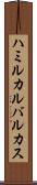 ハミルカルバルカス Scroll