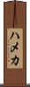 ハメカ Scroll