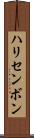 ハリセンボン Scroll