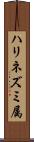 ハリネズミ属 Scroll
