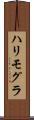 ハリモグラ Scroll