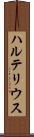 ハルテリウス Scroll