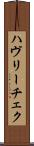 ハヴリーチェク Scroll